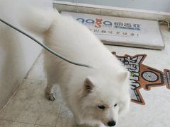 -纳吉亚猫专科动物医院·北北分院