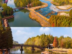 -溱湖国家湿地公园