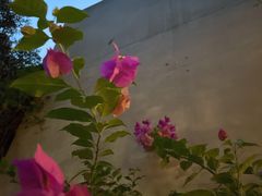 -箱美术馆私房菜(水晶郦城店)