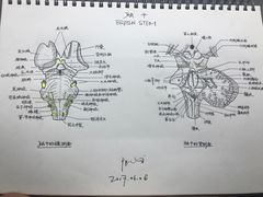-阿sir咖啡(陶谷新村店)