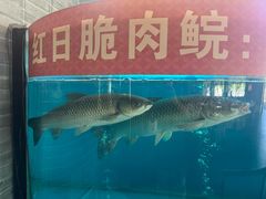 -红日饭店(裕隆三路店)