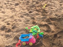 -大兴滨河森林公园