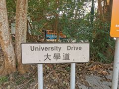 -太平山顶