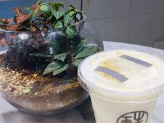酒酿桂花酪-宝珠奶酪(浦东金桥店)
