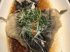 -骏莱海鲜鱼港(五角场店)