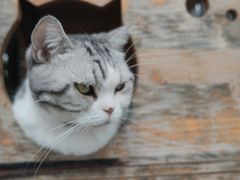 -小时光咖啡馆(开森度假森林店)