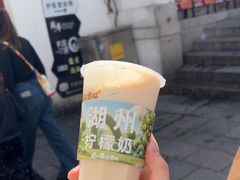 -猫的魔法密林(衣裳街店)