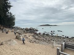 -宋井风景区