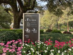 -杭州花家山庄