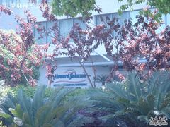 Ho-Jo-展讯豪生酒店