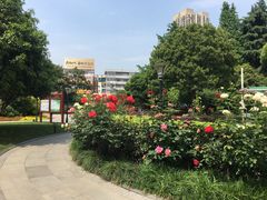 -常州古运河南大街文化旅游区-人民公园