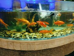 -阳光岛·海鲜盛宴(银泰中心in99店)