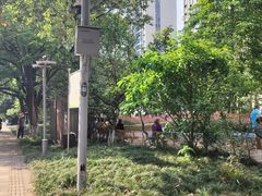 -成都市活水公园