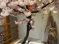 -鲁山人日本料理·放题·套餐(松卫北路店)