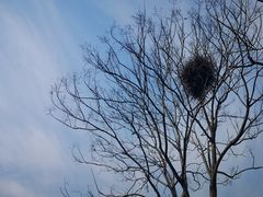 -山东大学(软件园校区)