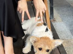 -Ameigo梅果·云贵川bistro(长宁来福士店)