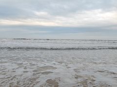-日照海滨国家森林公园