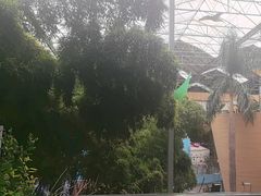 -北国之春国宴(乌兰察布店)