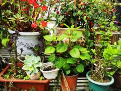 -王万妈卤猪脚(青岩交通路)