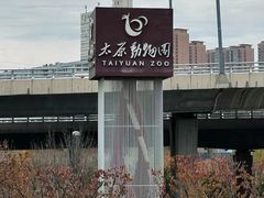-太原动物园