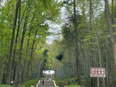 -青龙山国家森林公园