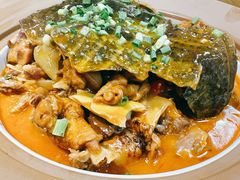 -洞庭家宴·头牌甲鱼(广渠门店)