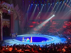 -珠海横琴长隆《卡卡虎奇遇记》