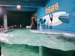 -南昌海洋公园