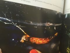 -怀托摩萤火虫洞