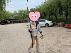-白洋淀景区