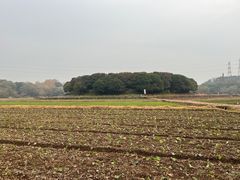 -八卦田遗址公园