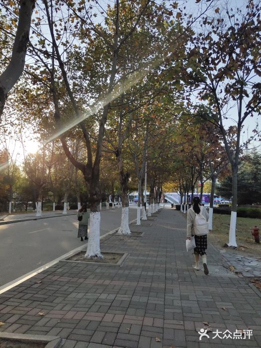 安徽新华学院图片