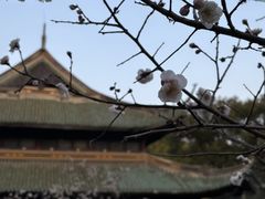 -无锡梅园公园