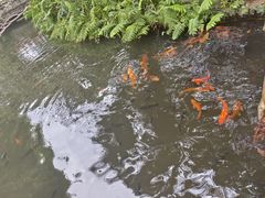 -海南热带野生动植物园