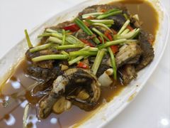 -小乡小镇·传承桐庐土菜·老板亲自烧的菜