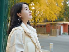 -三里屯东五街银杏大道