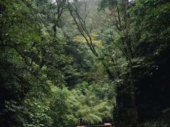 -青城山
