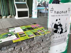 -都江堰中华大熊猫苑