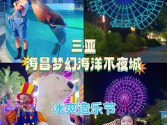 -三亚海昌梦幻海洋不夜城