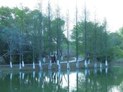 -瑶湖湿地自然保护区