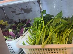 -金鼎雪山牦牛杂火锅(理县总店)