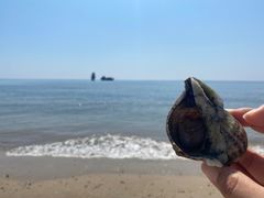 -碣石国家级海洋公园