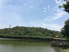 -李小龙乐园(顺德均安店)