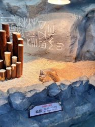 -Zoolung Zoolung动物主题公园(海信广场店)