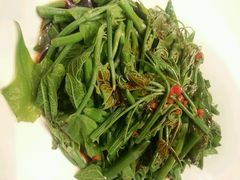 -马仕玖煲·融合菜·酥不腻烤鸭(人大店)
