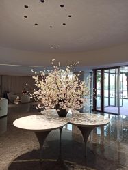 -广州美莱医疗美容医院