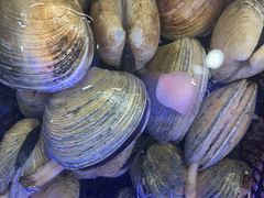 -日照大牌檔•小船海鲜(万平口店)