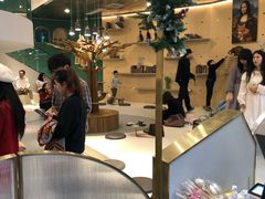 -飞行喵MR PILOT|猫舍·猫咖(静安大融城店)