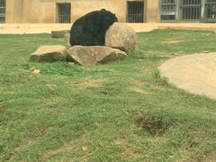 -上方山森林动物世界