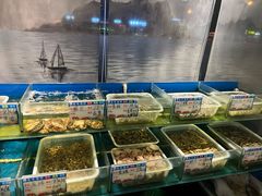 -华盛丰温州大排档(东三环南路店)